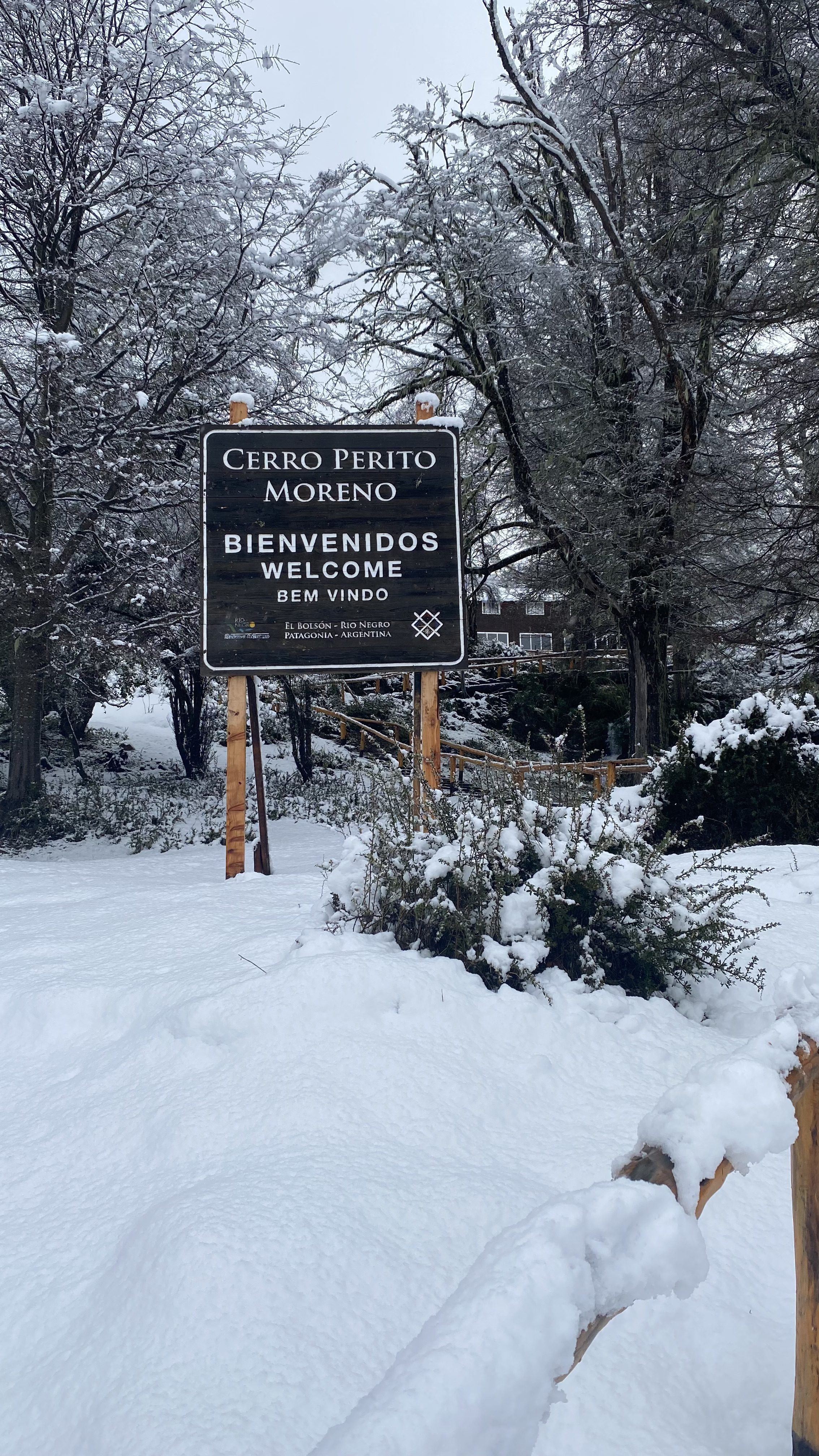 Cerro Perito Moreno — Transfer ski day — foto 3